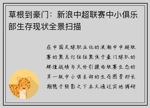 草根到豪门：新浪中超联赛中小俱乐部生存现状全景扫描
